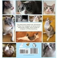 thumbnail image 4 of Libro Golden Bell Studios Lil' Bunny Sue Roux Tapa dura, 4 of 4