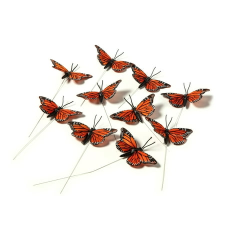 UPC: 0886946561467 | Assorted 7.8 Monarch Butterfly Pack by Ashland®
