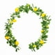 thumbnail image 1 of Guirnalda artificial de limones, flores artificiales, enredadera verde, adorno para interiores y exteriores. Estilo C, 1 of 9