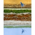 thumbnail image 2 of Szatkowski, Fred 15x18 White Modern Wood Framed Museum Art Print Titled - Blackwater Tapestry II, 2 of 4