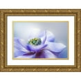 thumbnail image 1 of Parker, Jacky 18x13 Gold Ornate Wood Framed with Double Matting Museum Art Print Titled - Anemone De Caen, 1 of 4