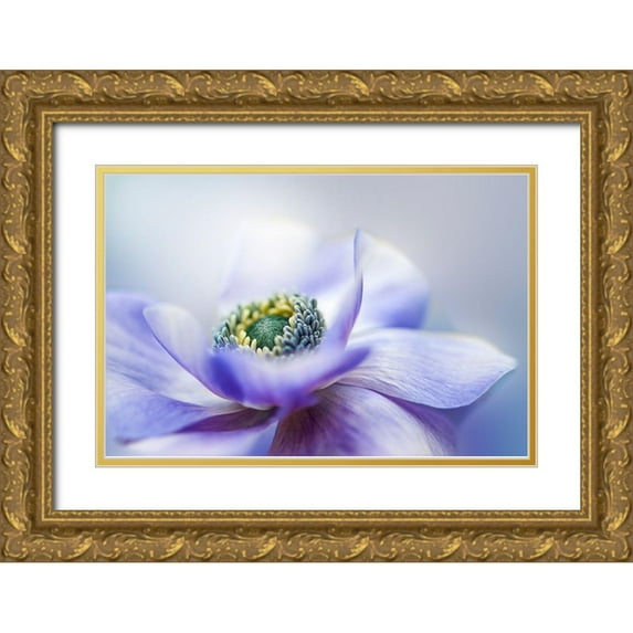 Parker, Jacky 18x13 Gold Ornate Wood Framed with Double Matting Museum Art Print Titled - Anemone De Caen