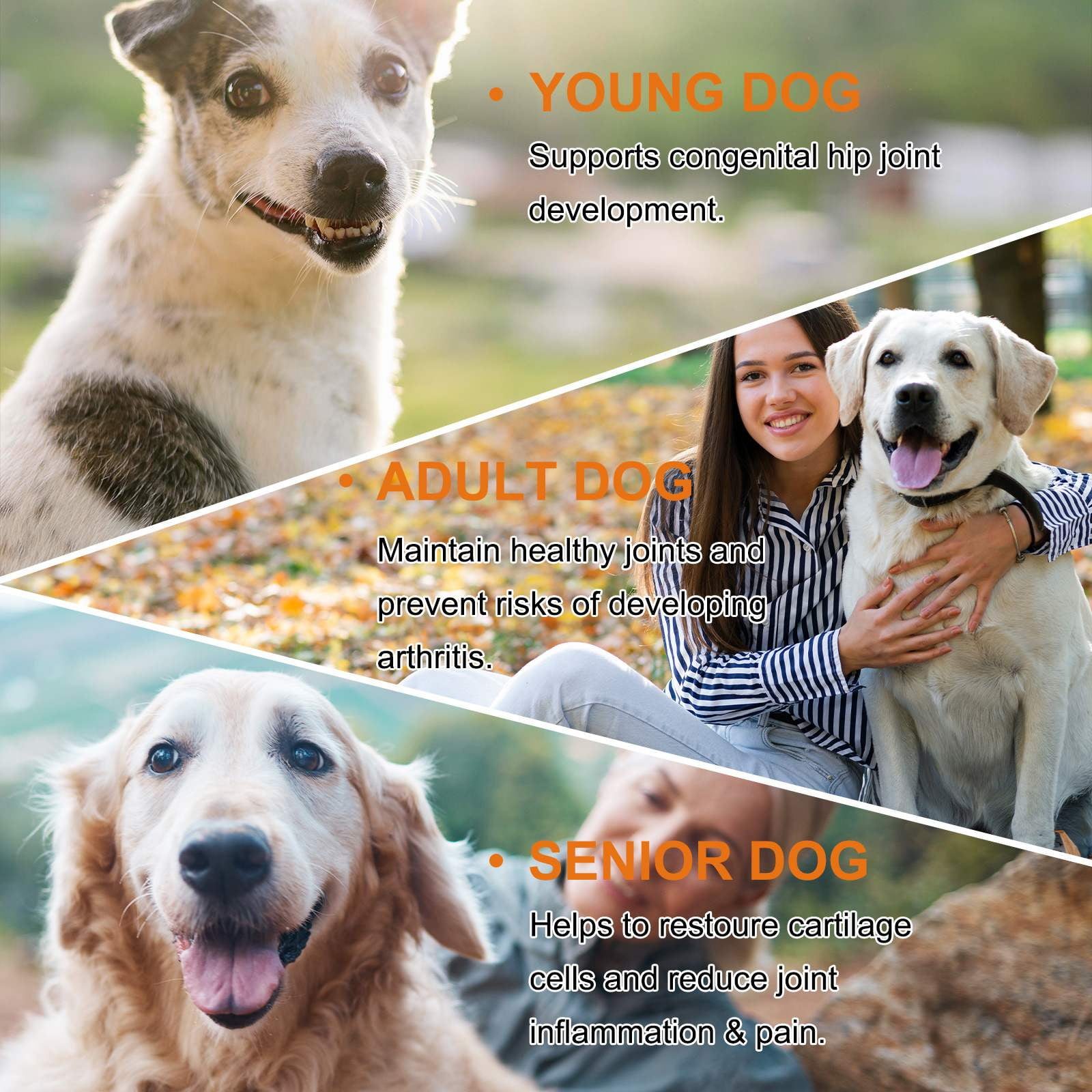 Oimmal Hip and Joint Supplement for Dogs - 60 Soft Chews(Duck Flavor) with Glucosamine Chondroitin, MSM, Help Dog Joint Health, Fresher in Smaller Packages - 5pack