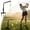 Red, variant on Golf Swing Trainer Aid – Adjustable Golf Practice Tool with Hanging Ball, Sturdy Ground Spike for Indoor/Outdoor Use, Improves Swing Tempo, Accuracy & Strength