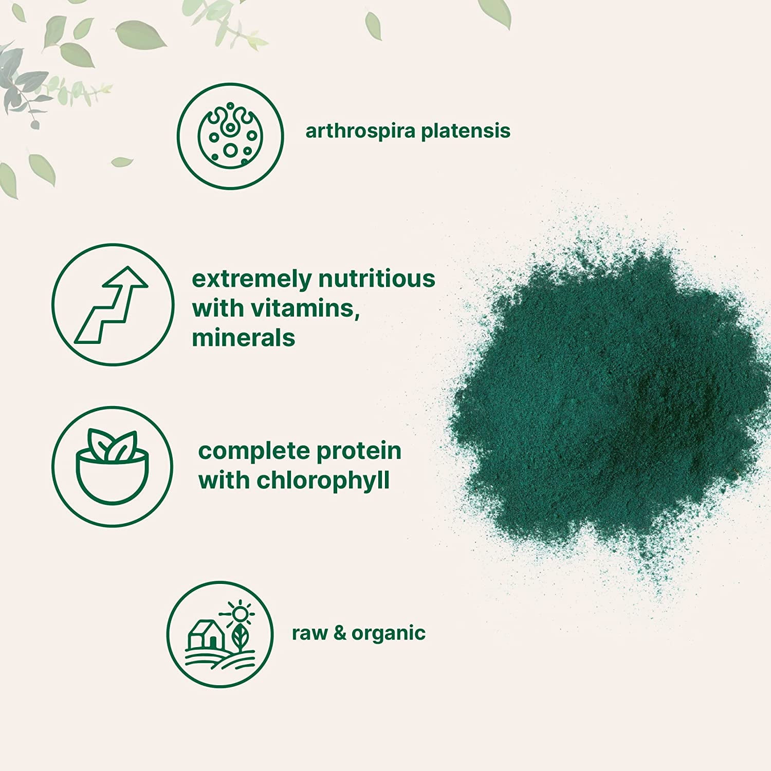 Micro Ingredients Organic Spirulina Powder, 1lb (16oz) | Green Superfood Powder, Rich in Vegan Protein, Vitamins & Minerals
