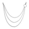 thumbnail image 1 of Cadenas De Vaqueros, Cartera De Metal, Cadena Para Pantalones, Bolsillo Plateado, Cadena Punk, Cadenas De Hip Hop Rock 1 Uds Yuarrent AP007555-02, 1 of 5