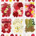 thumbnail image 1 of Kit de flores secas Resiners Cherry 174 piezas para manualidades, 1 of 9