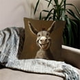 thumbnail image 6 of kladzum Short Lint Pillow Covers 18x18 Inches, Cute Two Donkeys Embroidery Decorative Throw Pillow Covers Soft Cozy Sofa Pillow Case Home Room Decor Pillowcase for Living Room, Bedroom, 6 of 6