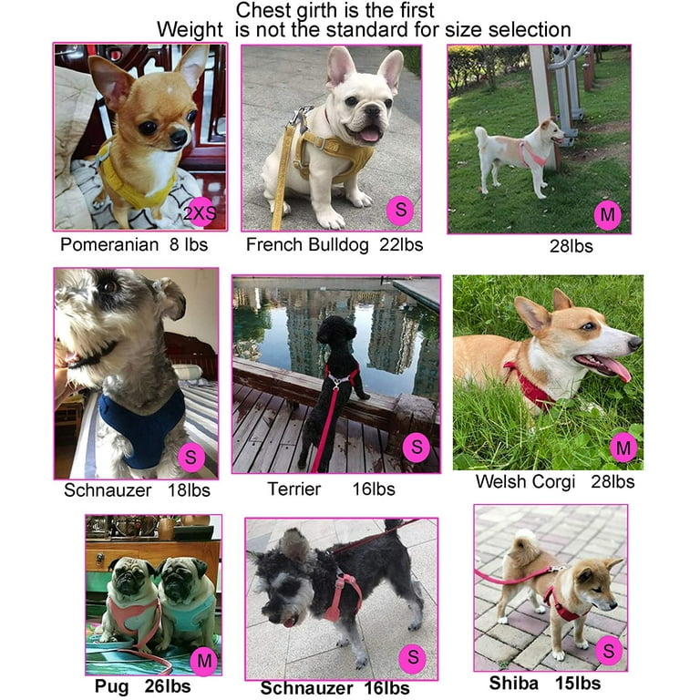 Pomeranian harness size cheap