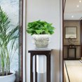 thumbnail image 2 of EXHUMKY 10Pcs Clear Growing Pot Transparent PP Root Control for Balcony Garden, 2 of 8
