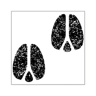 CafePress DS Awareness Square Sticker - 3"x3" Or 5"x5" Vinyl Bumper Sticker, Decal For Car, Laptop, Water Bottle