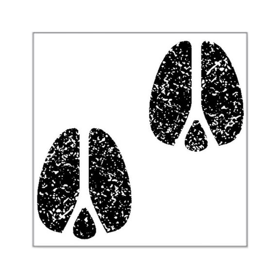 CafePress - Distressed Hoofprints Silhouette Sticker - Square Sticker 3" x 3"