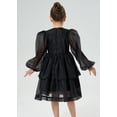 thumbnail image 4 of 2Bunnies Girls' 2T-10yr Organza Long Sleeve Tiered Babydoll Skater Princess Flower Girl Dress, 4 of 7
