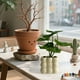 thumbnail image 4 of Adornos decorativos de bonsái con plantas en maceta, simulación de vegetación artificial, escritorio pequeño para oficina o sala de estar, estilo biónico, plantas artificiales, bajo, 4 of 9