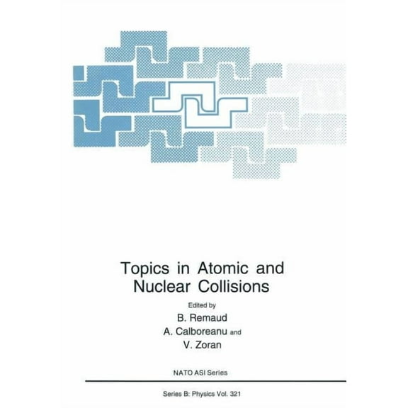 NATO Science Series B: Topics in Atomic and Nuclear Collisions, Book 321, (Paperback)