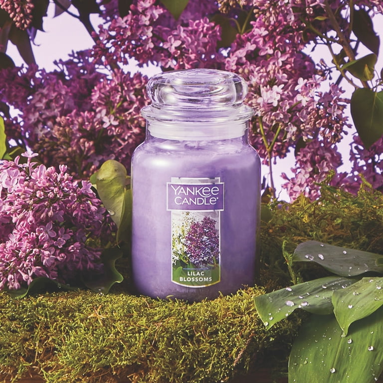 ヤンキーキャンドル【Lilac Blossoms】2個　Lサイズ Amazon.com: Yankee Candle Lilac Blossoms Scented, Classic