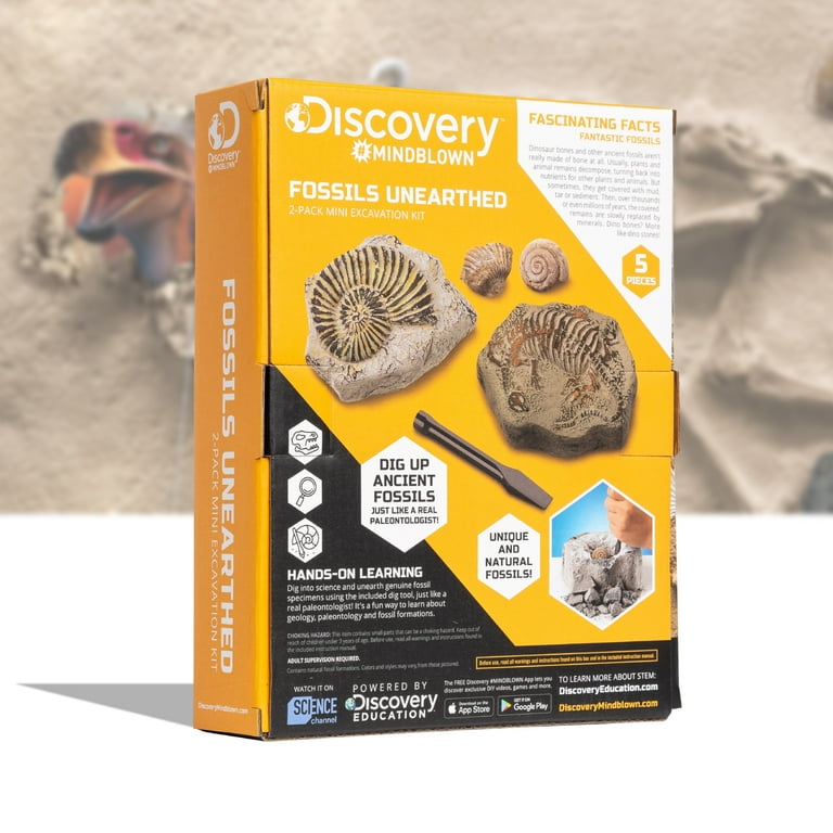 Stores like clearance fossil