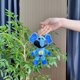 thumbnail image 2 of Una cosa Llavero colgante de peluche Catnap Smiling Critters para niños, figura de peluche Cat Nap, muñeco de peluche Smiling Critters, juguetes de peluche para fanáticos, niños, Regalos vacaciones, 2 of 2