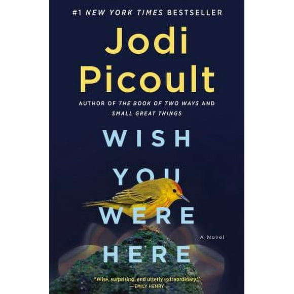 Wish You Were Here : A Novel 9781984818430 Used / Pre-owned