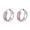 Lesbian, variant on Women's Men's Stainless Steel Lgbt Hoop Huggie Earrings Rainbow Pride Earrings Jewelry for Gay Lesbian