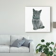 thumbnail image 4 of Trademark Fine Art 'Cutie Kitties VI' Canvas Art by Emily Adams, 4 of 4