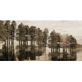 thumbnail image 2 of Phillip, Jamie 24x14 White Modern Wood Framed Museum Art Print Titled - Take Me To The Bayou, 2 of 4
