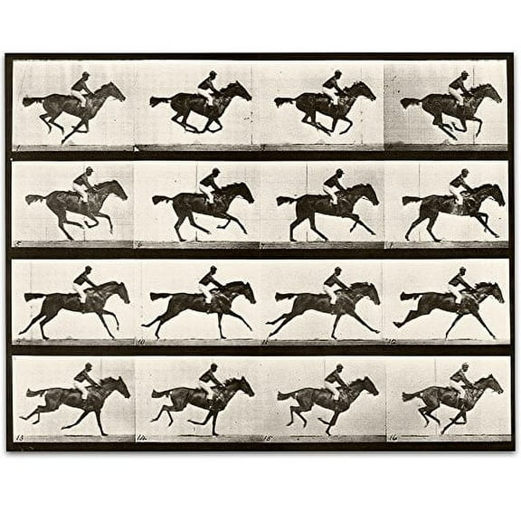 Lone Star Art 1887 Muybridge's Horse Galloping Vintage Print - 11x14 Unframed Print - Perfect Stable or Farm Decor