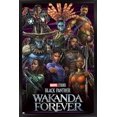 thumbnail image 1 of Marvel Black Panther : Wakanda Forever - Groupe, 1 of 4