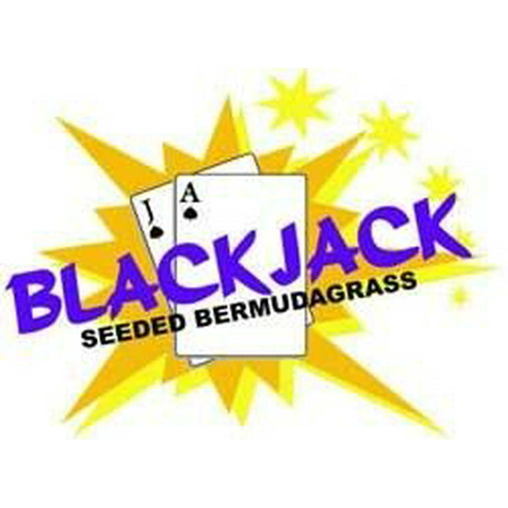 Blackjack Bermuda Grass Seed 20 Lbs.