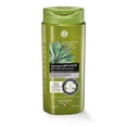 thumbnail image 1 of Champú Yves Rocher Suplemento anticaída 300 ml, 1 of 1