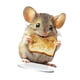thumbnail image 4 of 2D plano hámster comiendo de pan de mesa adorno recolección de escritorio accesorio multipropósito con base 20x14.8 cm, 4 of 9