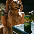 thumbnail image 6 of Sierra Nevada Pale Ale Craft Beer, 12 Pack, 12 fl oz Aluminum Cans. 5.6% ABV, 6 of 11