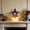 A-Multicolor, variant on 4th of July Lights 4th of July Party Decorations​ Uncle Sam Hat Star Wing LED Candle Toppers Patriotic Shape Designs Warm Glow Ambiance Patio Table Decor