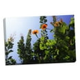 thumbnail image 2 of Gango Home Decor Summer Garden I by Alan Hausenflock (Ready to Hang); One 36x24in Hand-Stretched Canvas, 2 of 4