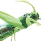 thumbnail image 2 of Señuelos de pesca de color artificial, simulación de saltamontes, langosta para rayas blancas Verde, 2 of 9