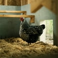 thumbnail image 4 of FarmStraw Coarse - Premium Wheat Straw Animal Bedding, 3 Cu ft, 4 of 7