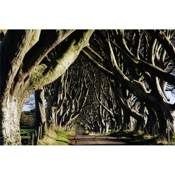 Stranocum Co Antrim Ireland Poster Print by The Irish Image Collection - 17 x 11