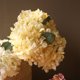 thumbnail image 3 of Flores de Hortensias de Imitación Flor de Simulación de Borde Quemado para Decoración de Centros de Mesa de Boda Fiesta en Casa ANGGREK Otros, 3 of 8