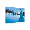 thumbnail image 2 of Trademark Fine Art 'Snowy Dawn' Canvas Art by Ron Parker, 2 of 3