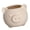 Light skin tone, variant on lanema Lovely Handcrafted Pig Planter With Excellent Drainage Suitable For Succulents