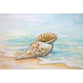 thumbnail image 2 of Diannart 32x23 Gold Ornate Wood Framed with Double Matting Museum Art Print Titled - Queen Conch, 2 of 4