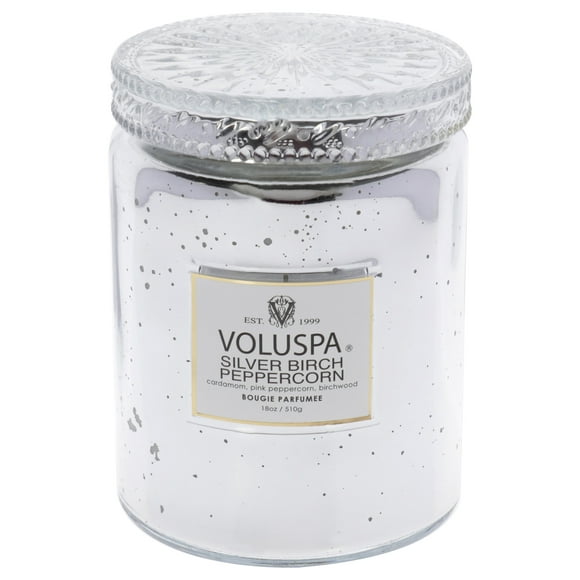Bougie en Bouleau Argenté - Grande par Voluspa pour Unisexe - 18 oz