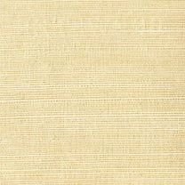 Kenneth James Klaudia Champagne Foil Grasscloth Wallpaper, 36-in by 24-ft, 72 sq. ft