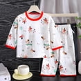 thumbnail image 2 of Gubotare Girls Organic Cotton Pajamas, Toddler PJ Set, 2-PC Watermelon Red,Size 18-24 Months, 2 of 3