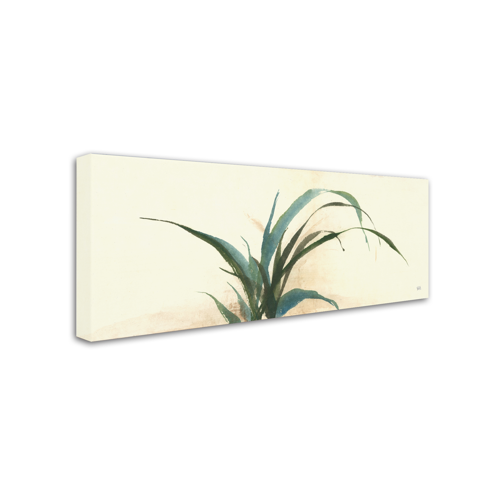 Trademark Fine Art 'Horizontal Grass I' Canvas Art by Chris Paschke