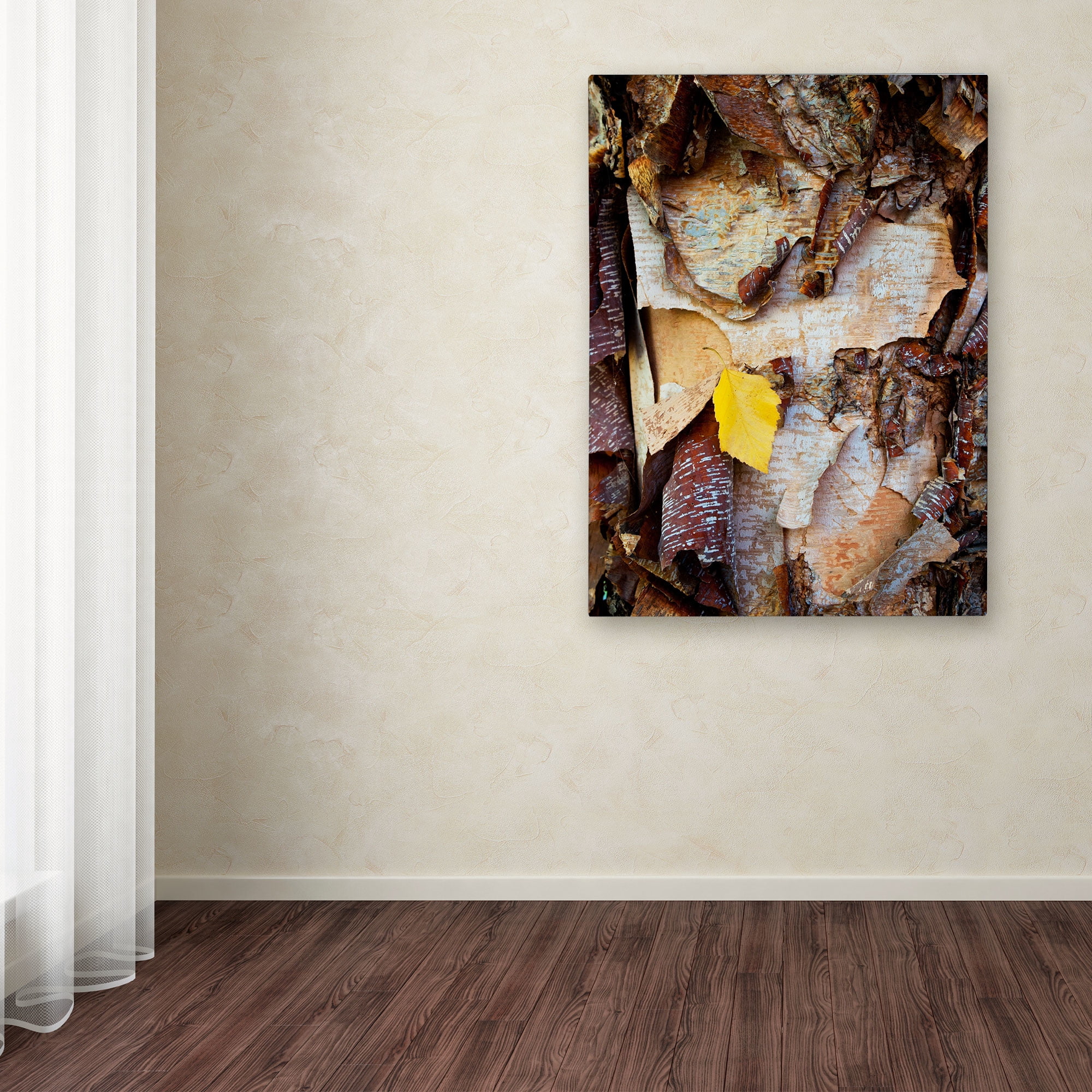 Trademark Fine Art "Birch Leaf" Canvas Art by Kurt Shaffer