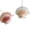 Floral shell underwe, variant on Breathable Sea Shell Design Chest Bra Accessory Tanks Top For Women Beach Outing Halterneck Bralette Party Costume