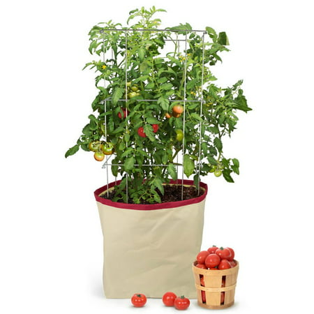 Architec Tomato Harvest Grow Bag HGBVR (Best Way To Grow Tomatoes)