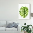 thumbnail image 3 of Trademark Fine Art 'Monstera I' Canvas Art by Grace Popp, 3 of 4