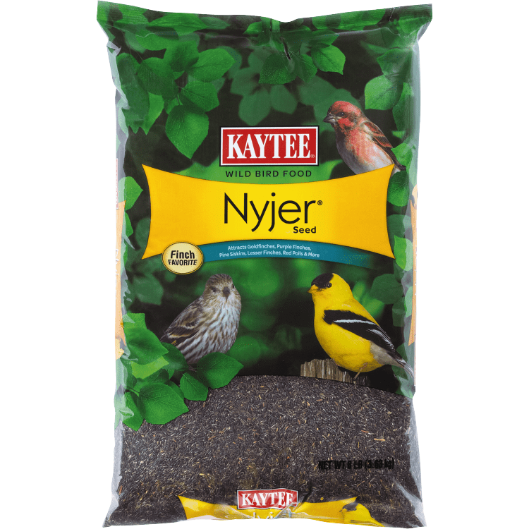 Kaytee Reg 100033684 Nyjer Reg Thistle Wild Bird Food 8 Lb